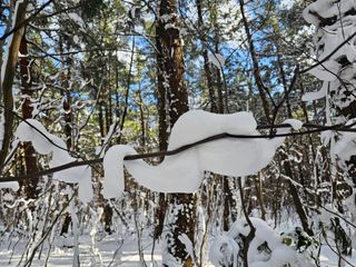 고영환님의 우리동네 · 동네자랑 작성글 사진