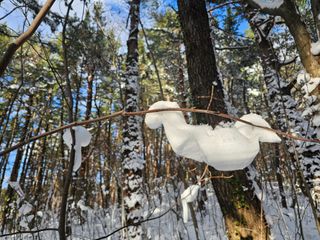고영환님의 우리동네 · 동네자랑 작성글 사진