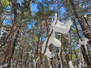 고영환님의 우리동네 · 동네자랑 작성글 사진