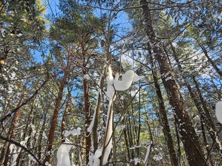 고영환님의 우리동네 · 동네자랑 작성글 사진