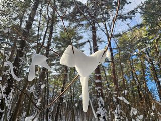 고영환님의 우리동네 · 동네자랑 작성글 사진
