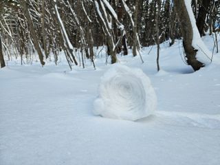 고영환님의 우리동네 · 동네자랑 작성글 사진