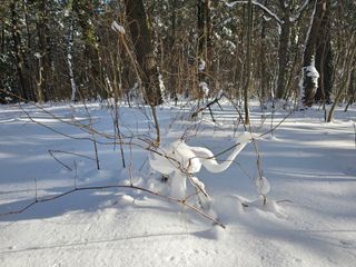 고영환님의 우리동네 · 동네자랑 작성글 사진