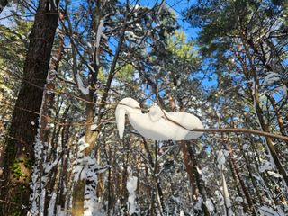 고영환님의 우리동네 · 동네자랑 작성글 사진