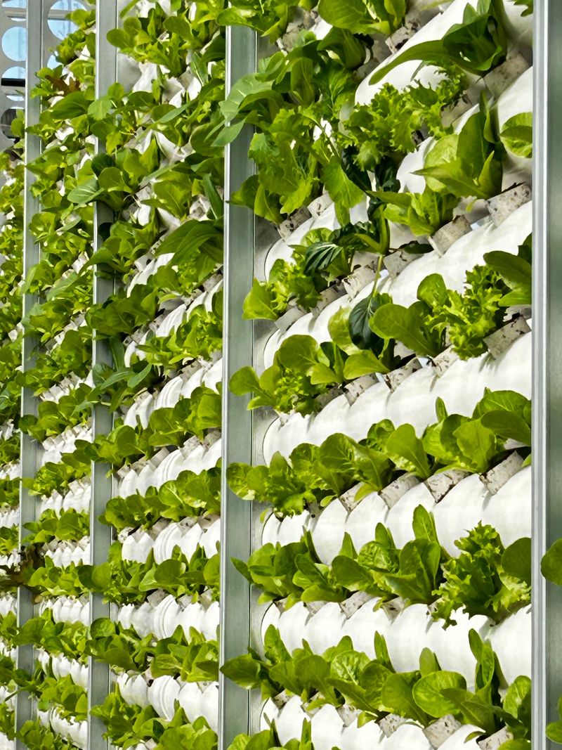 장터 상품 [1k] 썸네일