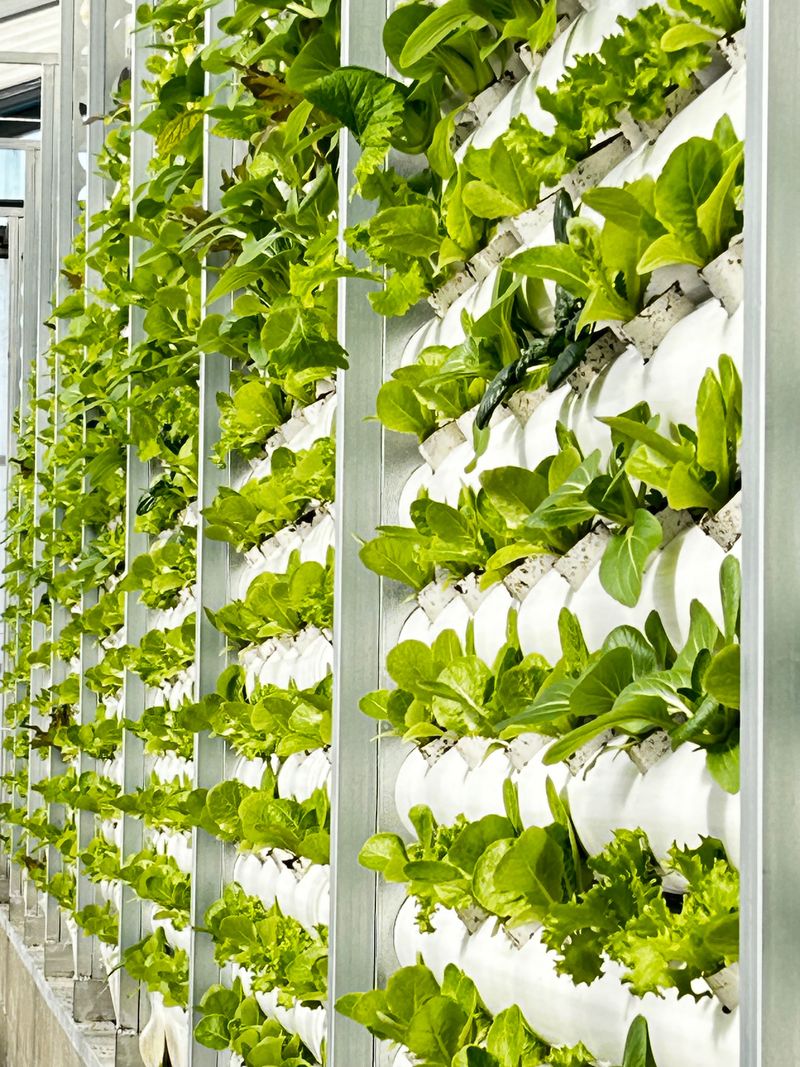 오대경님의 장터 판매 상품 [1k] 첨부 사진