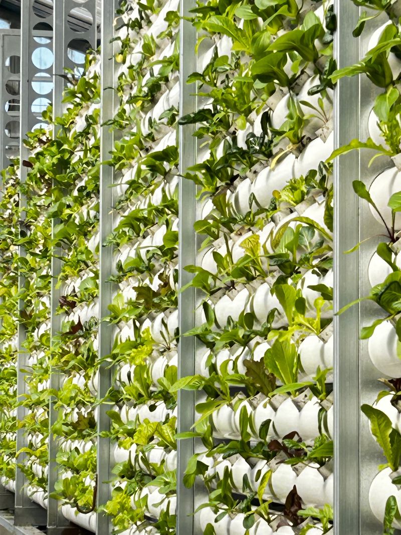 오대경님의 장터 판매 상품 [1k] 첨부 사진