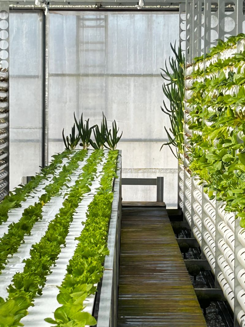 오대경님의 장터 판매 상품 [1k] 첨부 사진