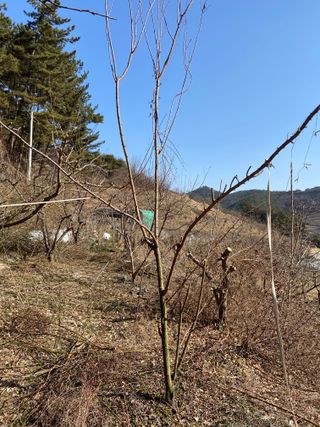 윤종근님의 자유주제 · 자유게시판 작성글 사진