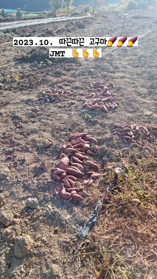 이숲농원님의 그동안 생산한 농작물은? · 참여글 작성글 사진