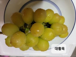 승진포도원님의 그동안 생산한 농작물은? · 참여글 작성글 사진