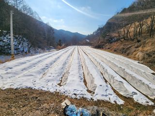 설악곰님의 자유주제 · 자유게시판 작성글 사진