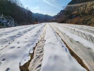 설악곰님의 자유주제 · 자유게시판 작성글 사진