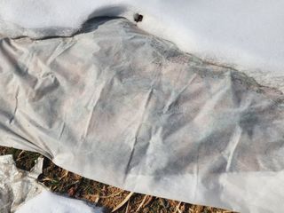 설악곰님의 자유주제 · 자유게시판 작성글 사진