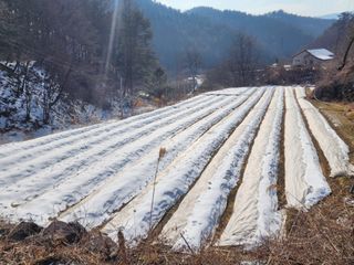 설악곰님의 자유주제 · 자유게시판 작성글 사진