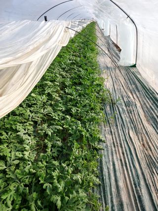 만당사님의 자유주제 · 자유게시판 작성글 사진