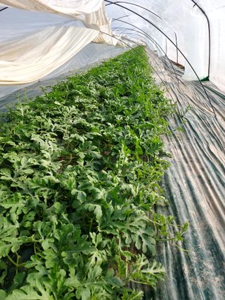 만당사님의 자유주제 · 자유게시판 작성글 사진