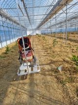 팜모닝 기타작물·영농일지 게시글 이미지