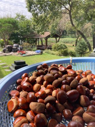 김재호님의 그동안 생산한 농작물은? · 참여글 작성글 사진