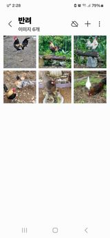 팜모닝 자유주제·자유게시판 게시글 이미지