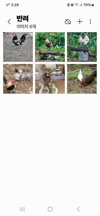 옥수수8207님의 자유주제 · 자유게시판 작성글 사진