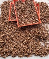 팜모닝 그동안 생산한 농작물은?·참여글 게시글 이미지