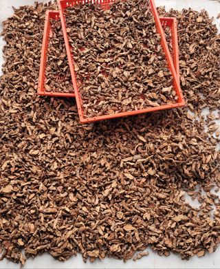 이기석님의 그동안 생산한 농작물은? · 참여글 작성글 사진