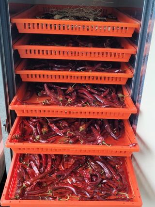 이기석님의 그동안 생산한 농작물은? · 참여글 작성글 사진