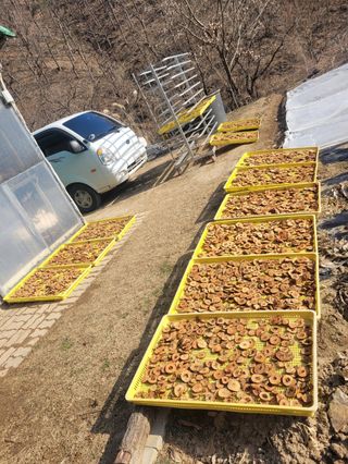 이기석님의 그동안 생산한 농작물은? · 참여글 작성글 사진