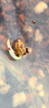 팜모닝 기타작물·자유게시판 게시글 이미지