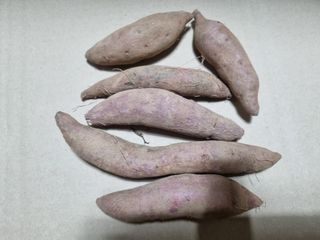 공석래님의 작성글 사진