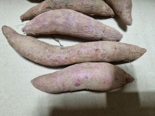 공석래님의 작성글 사진