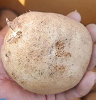 신동원님의 그동안 생산한 농작물은? · 참여글 작성글 사진