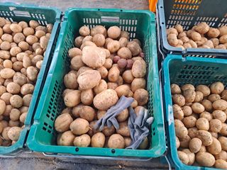 신동원님의 그동안 생산한 농작물은? · 참여글 작성글 사진