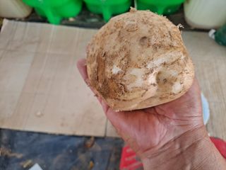 신동원님의 그동안 생산한 농작물은? · 참여글 작성글 사진