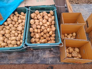 신동원님의 그동안 생산한 농작물은? · 참여글 작성글 사진