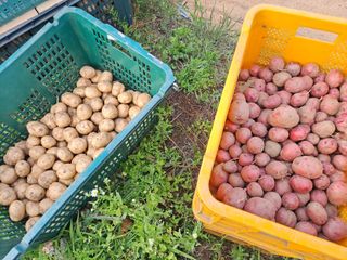 신동원님의 그동안 생산한 농작물은? · 참여글 작성글 사진