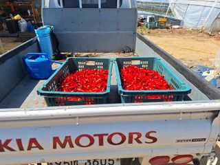 신동원님의 그동안 생산한 농작물은? · 참여글 작성글 사진