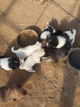 팜모닝 자유주제·자유게시판 게시글 이미지