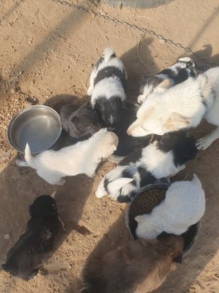 김옥자님의 자유주제 · 자유게시판 작성글 사진