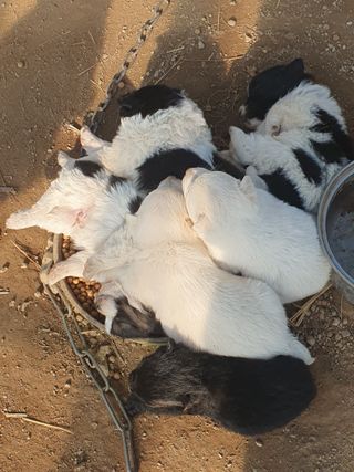 김옥자님의 자유주제 · 자유게시판 작성글 사진