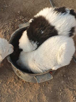 김옥자님의 자유주제 · 자유게시판 작성글 사진