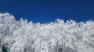 산간애님의 자유주제 · 사진전 작성글 사진