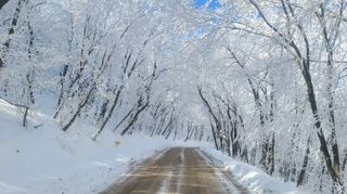 산간애님의 자유주제 · 사진전 작성글 사진