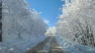 산간애님의 자유주제 · 사진전 작성글 사진