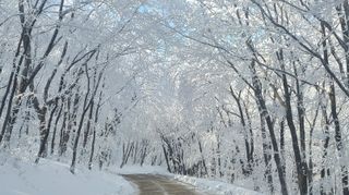산간애님의 자유주제 · 사진전 작성글 사진