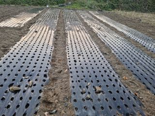 이화섭님의 그동안 생산한 농작물은? · 참여글 작성글 사진