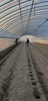 팜모닝 감자·자유게시판 게시글 이미지