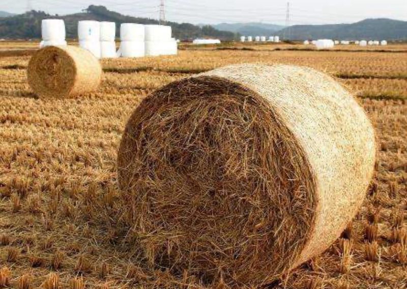 동성에너지님의 장터 판매 상품 [소농장 볏짚 살균 찜 전용 스팀전기보일러] 첨부 사진