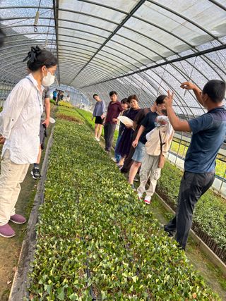 치유숲모이라양재순님의 팜모닝공식 · 광고승인요청 작성글 사진